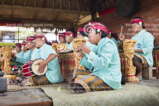 I Was A Gamelan Groupie